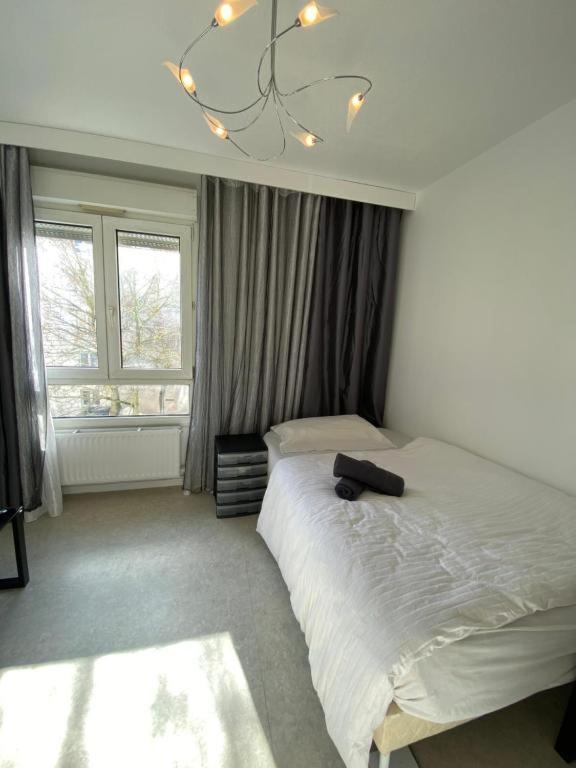 Nancy Hyper Centre, Chambre Prive Chez L'Habitant En Colocation Exterior foto