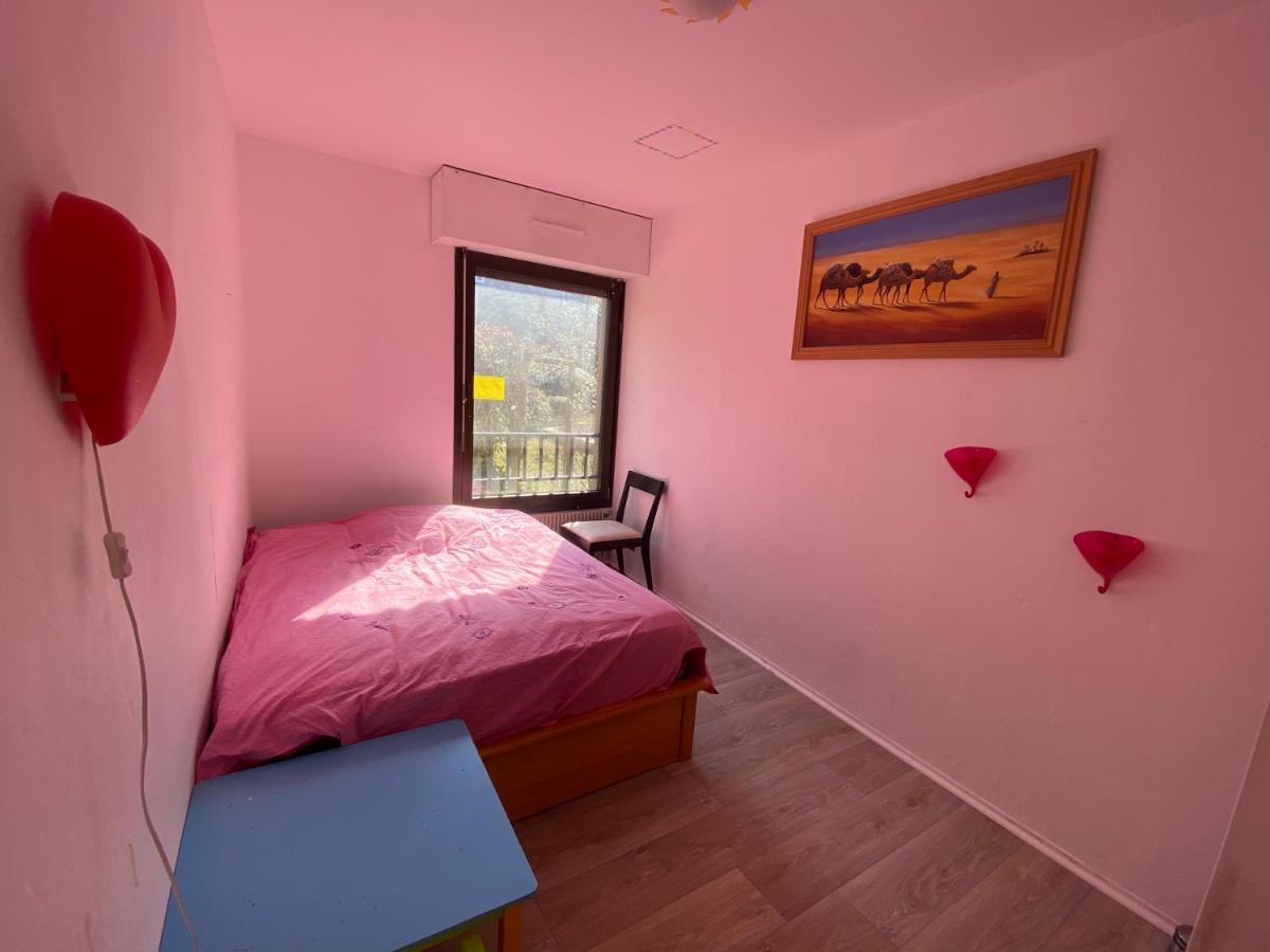 Nancy Hyper Centre, Chambre Prive Chez L'Habitant En Colocation Exterior foto