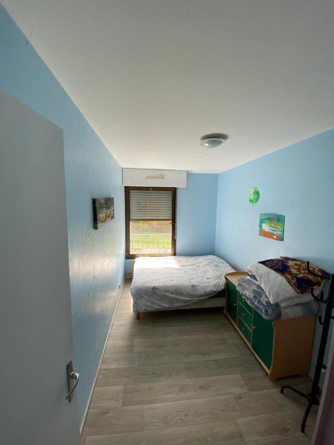 Nancy Hyper Centre, Chambre Prive Chez L'Habitant En Colocation Exterior foto